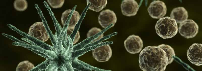 Anti-PD-1-cancer-breakthrough-treatment.