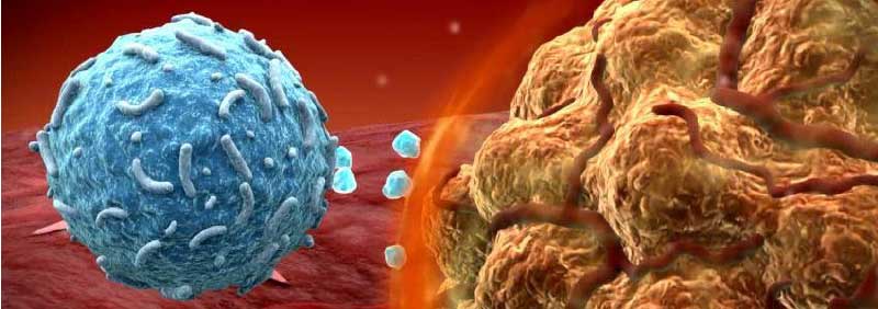 Anti-pd-1-cancer-treatment-immunotherapy.