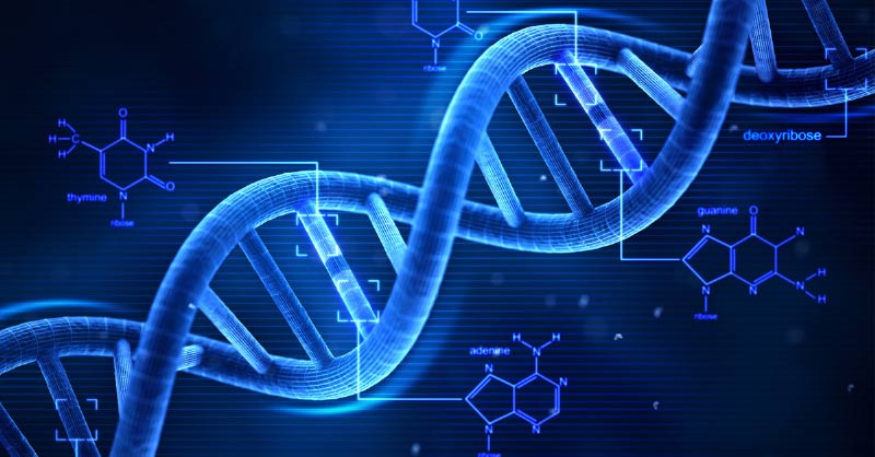 Ovarian-cancer-dna