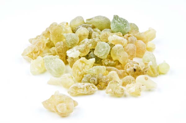 Frankincense-herb.