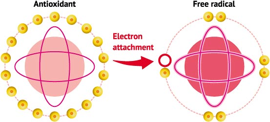 CML-Free-Radicals.