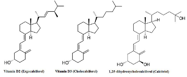 Vitamin-D-Cancer-cure-data.