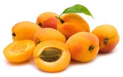 b17-cyanide-apricot-seed-pits.